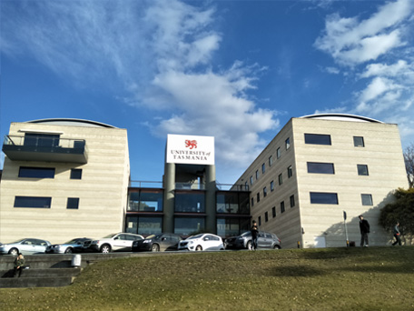 塔斯马尼亚大学
