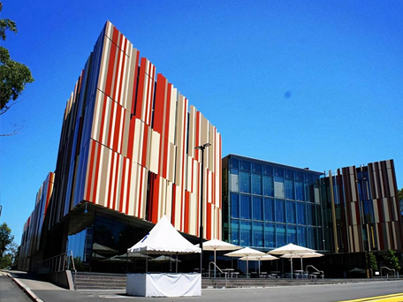 麦考瑞大学