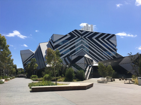 莫纳什大学